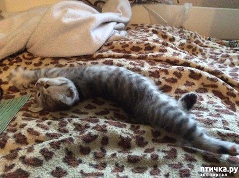 ���� 6: ���� ��������.