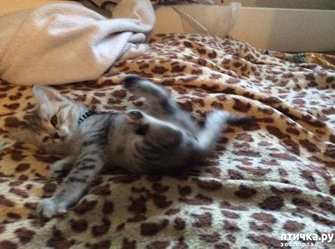 ���� 7: ���� ��������.