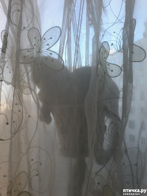 ���� 8: ���� ��������.