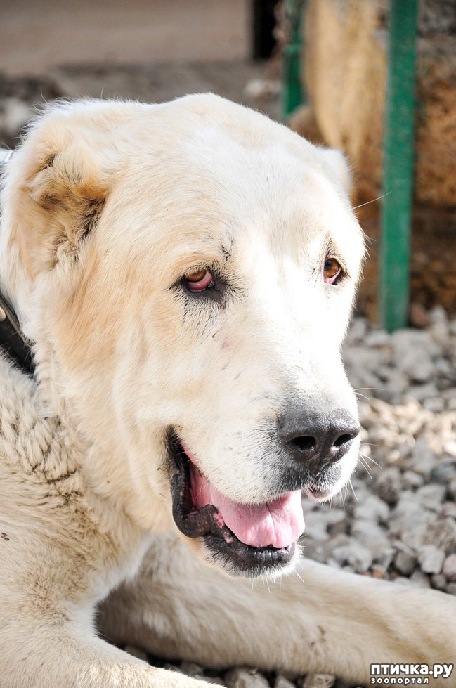 ���� 1: ������ ��