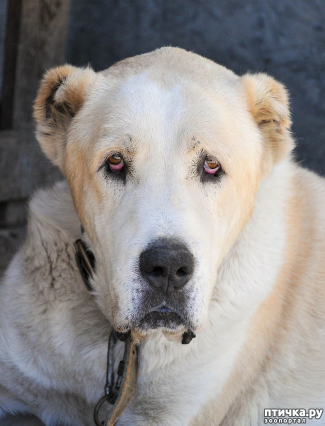 ���� 3: ������ ��