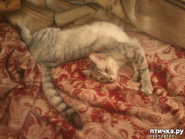 ���� 9: ���� ��������.