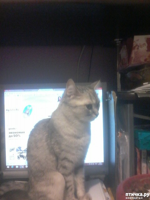 ���� 10: ���� ��������.