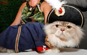 ����: ����������� ����� ������ ��������