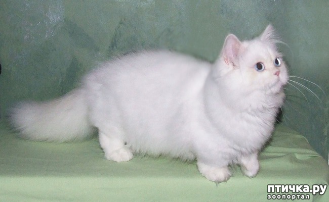  9:    