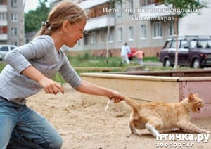 фотография: Убийство животного - это уже диагноз фото: Убийство животного - это уже диагноз