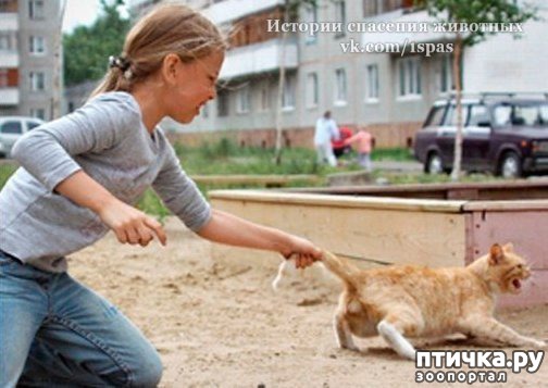 ���� 1: �������� ��������� - ��� ��� �������