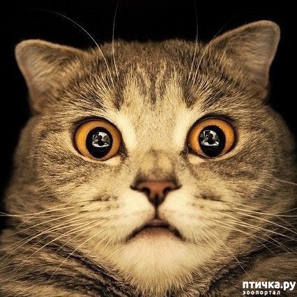 ���� 2: ����� ������ ����, ��� ��� �� � ���� ����, � �� �� � ����