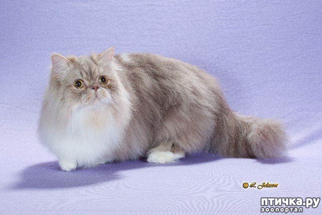  14:    