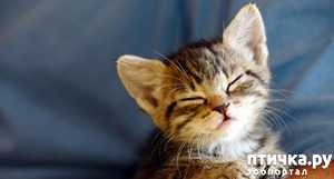 ����: �������� �������� � �������� ����� � �����)))