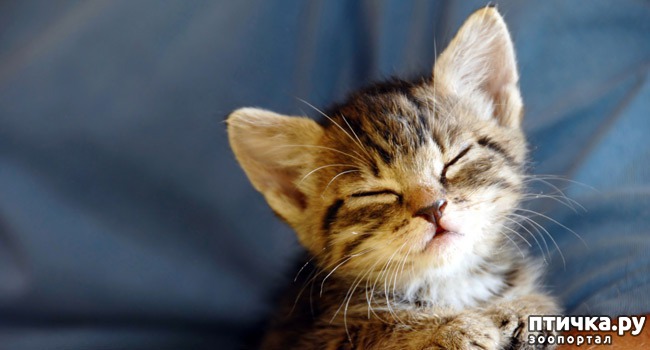 ���� 1: �������� �������� � �������� ����� � �����)))