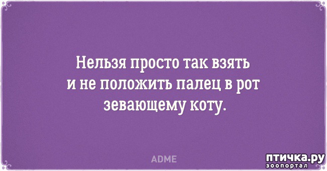 ���� 2: �������� �������� � �������� ����� � �����)))