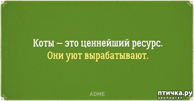 ���� 4: �������� �������� � �������� ����� � �����)))