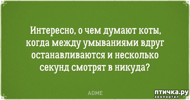 ���� 5: �������� �������� � �������� ����� � �����)))