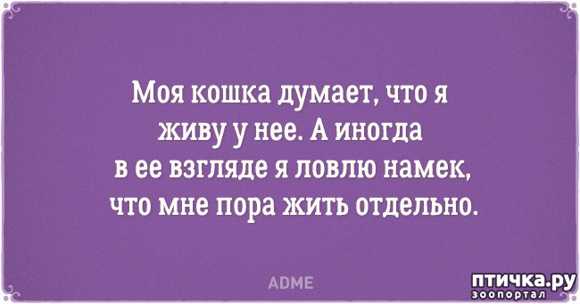 ���� 6: �������� �������� � �������� ����� � �����)))