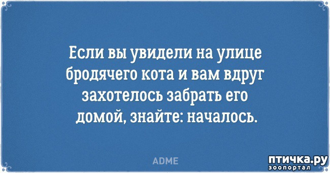 ���� 8: �������� �������� � �������� ����� � �����)))