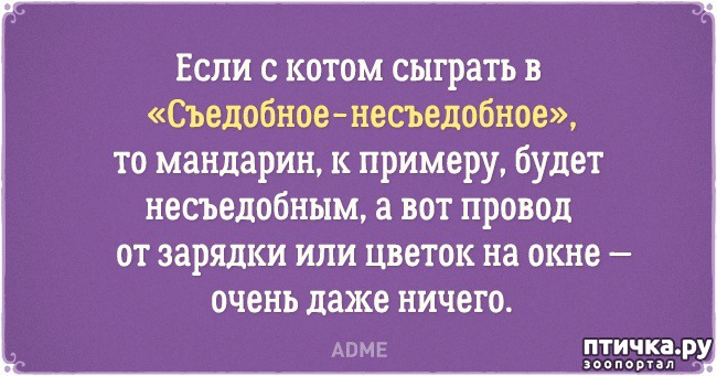 ���� 9: �������� �������� � �������� ����� � �����)))