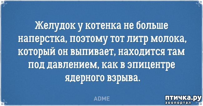 ���� 10: �������� �������� � �������� ����� � �����)))