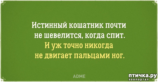 ���� 12: �������� �������� � �������� ����� � �����)))