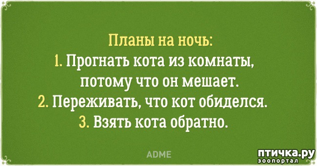 ���� 13: �������� �������� � �������� ����� � �����)))