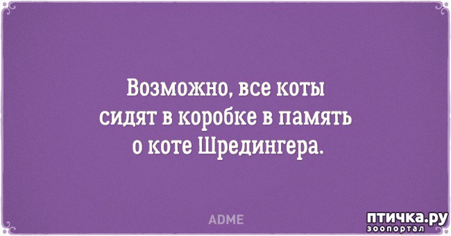 ���� 14: �������� �������� � �������� ����� � �����)))