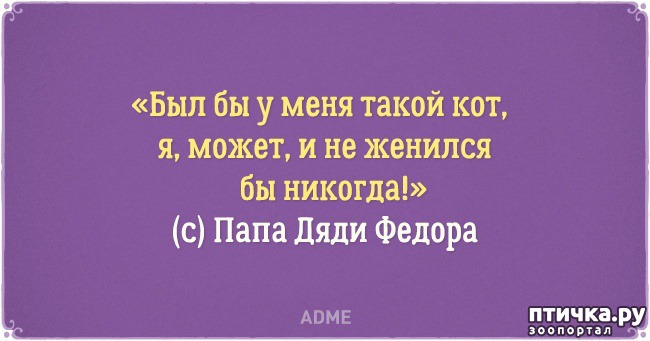 ���� 15: �������� �������� � �������� ����� � �����)))