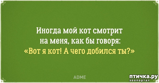 ���� 16: �������� �������� � �������� ����� � �����)))