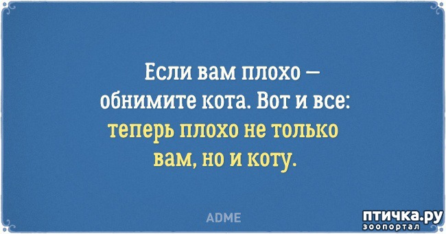 ���� 17: �������� �������� � �������� ����� � �����)))