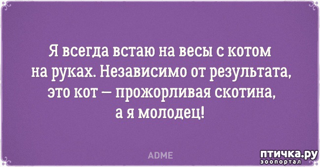 ���� 18: �������� �������� � �������� ����� � �����)))