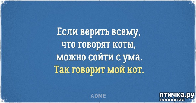 ���� 20: �������� �������� � �������� ����� � �����)))