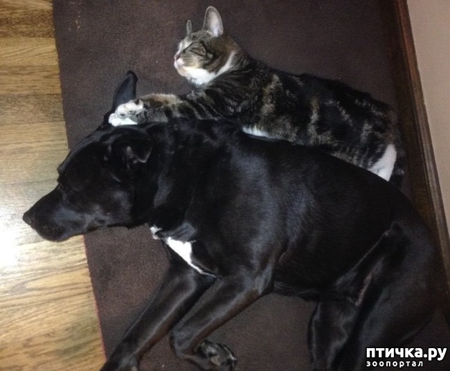 ���� 3: ������ - ������� ���� � ���������������! � ������ �� � ���?))