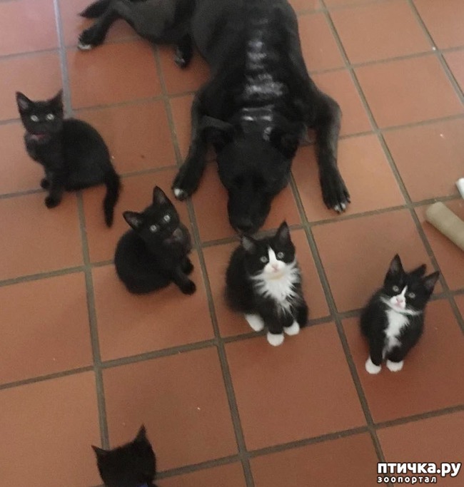 ���� 5: ������ - ������� ���� � ���������������! � ������ �� � ���?))