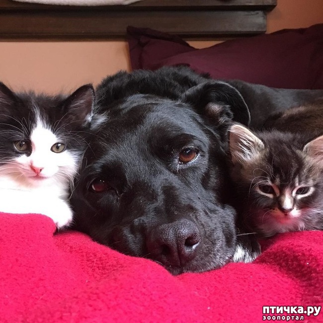 ���� 6: ������ - ������� ���� � ���������������! � ������ �� � ���?))