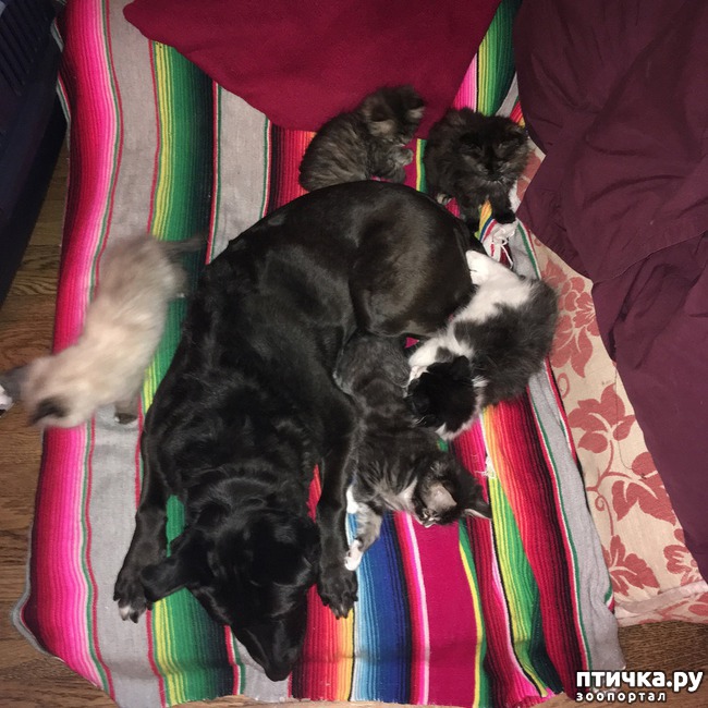 ���� 9: ������ - ������� ���� � ���������������! � ������ �� � ���?))