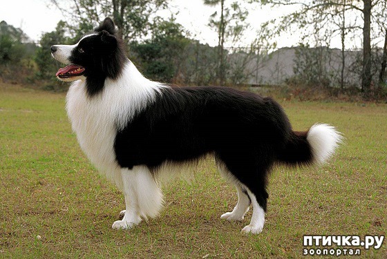 ���� 5: ������ ����� - ����� ����� ������ � ����!