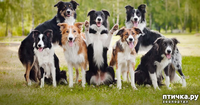 ���� 1: ������ ����� - ����� ����� ������ � ����!