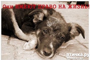 ����: � ���� ������������� ������ �������� ��������� ��������