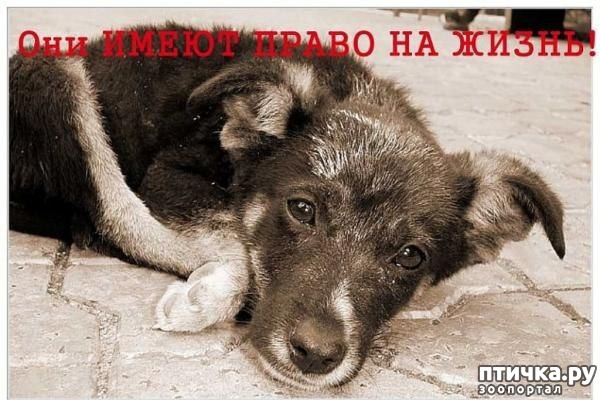 ���� 1: � ���� ������������� ������ �������� ��������� ��������