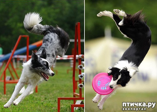 ���� 4: ������ ����� - ����� ����� ������ � ����!