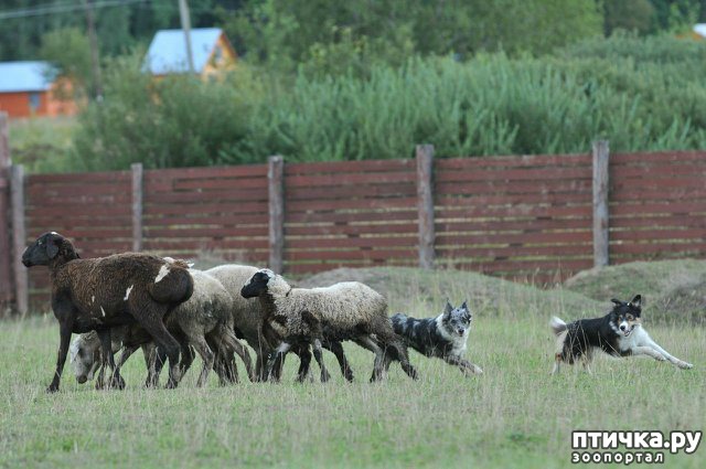 ���� 2: ������ ����� - ����� ����� ������ � ����!