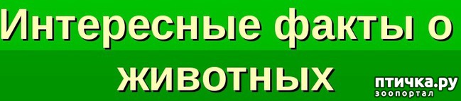 ���� 1: ���������� ����� � ������� � ������