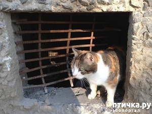 ����: �������� �� ������� ����� ����� �� �������� ��������������� �����