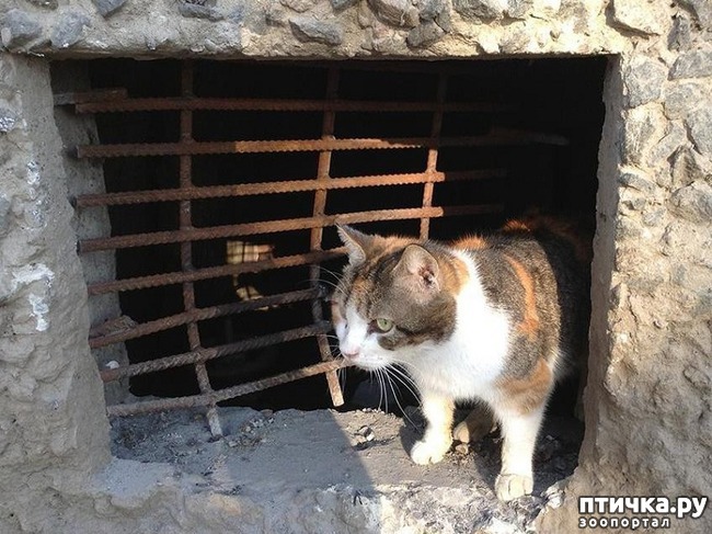 ���� 1: �������� �� ������� ����� ����� �� �������� ��������������� �����