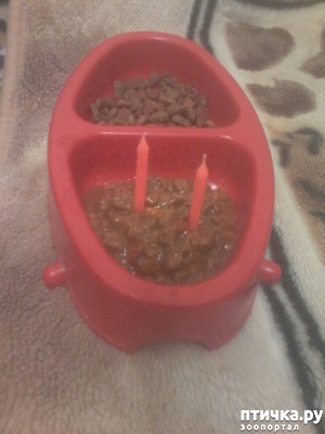 ����: "������" ��� ������))