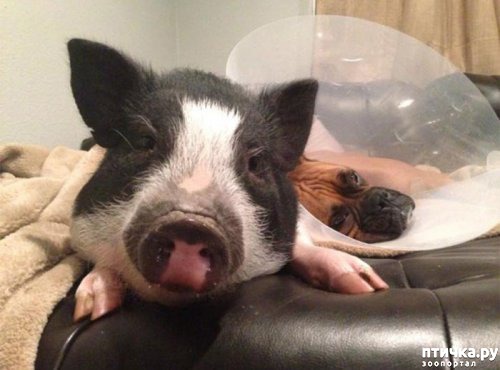 ���� 2: ��� ������ ������, ��� ��� ������.