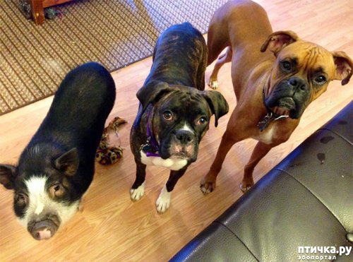 ���� 3: ��� ������ ������, ��� ��� ������.