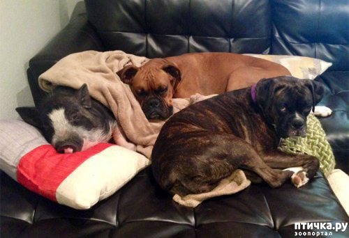 ���� 4: ��� ������ ������, ��� ��� ������.