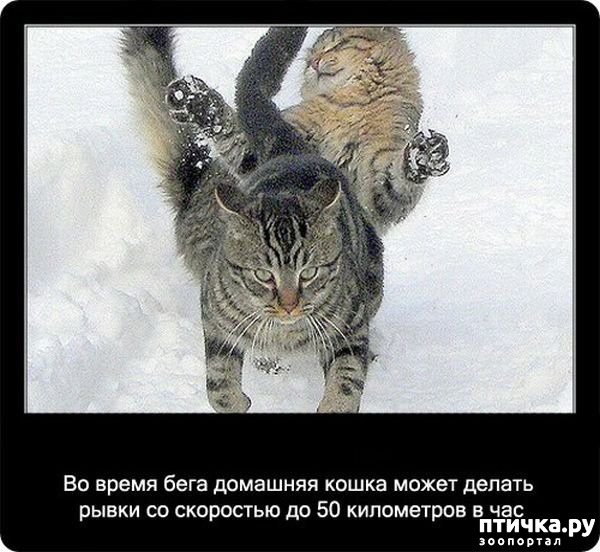 ���� 3: ���������� ����� � ������� � ������