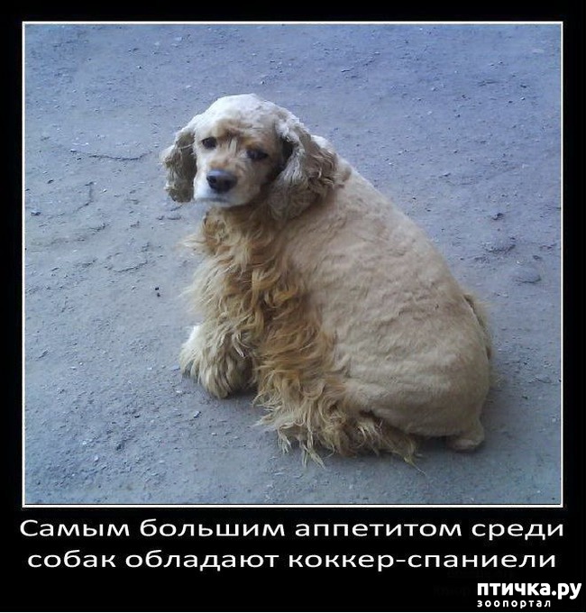 ���� 4: ���������� ����� � ������� � ������