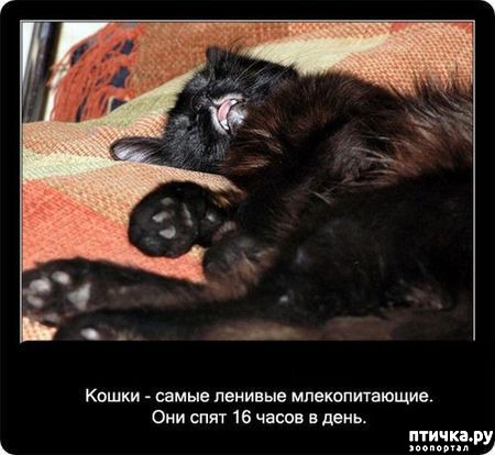 ���� 5: ���������� ����� � ������� � ������